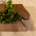 Load image into Gallery viewer, Wooden console with a plant on a beige carpet