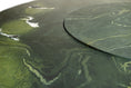 Load image into Gallery viewer, Close-up of a green stone surface with natural patterns
