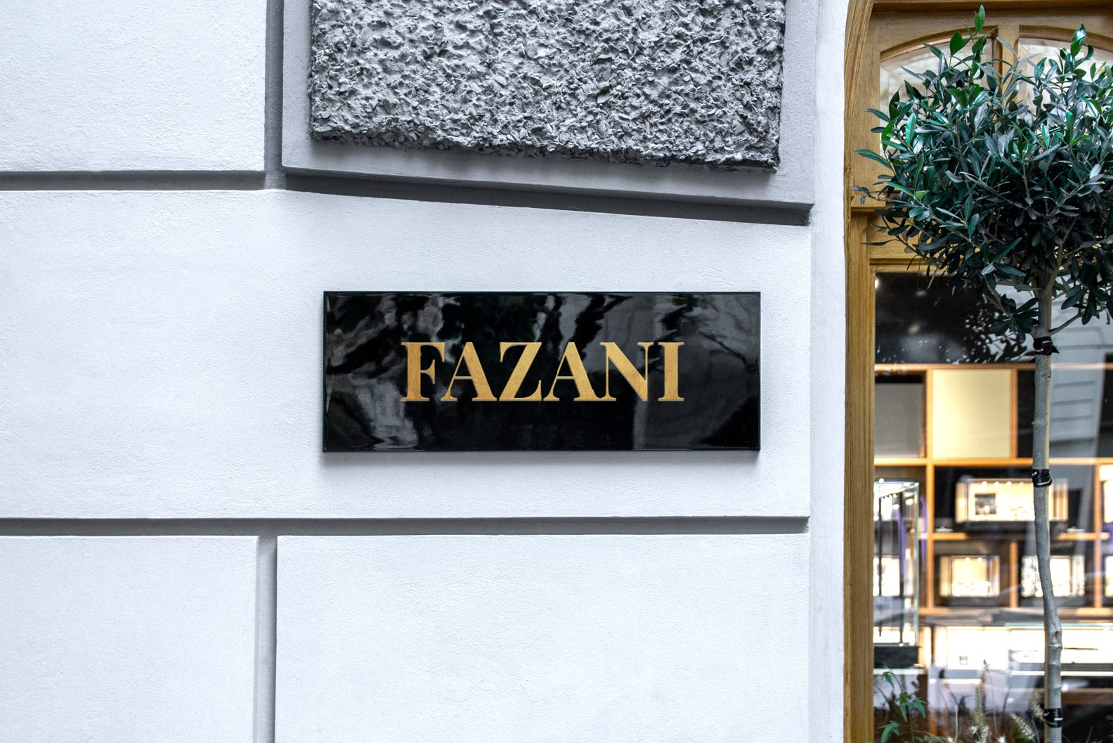 fazani logo in a showroom setting